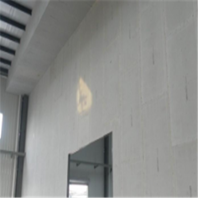 why新型建筑材料掺多种工业废渣的ALC|ACC|FPS模块板材轻质隔墙板